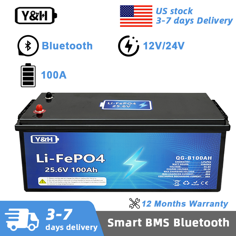 Lifepo4 12V 100Ah Bms Bluetooth - [Consegna Locale] Batteria LiFePO4 Y&H 12V