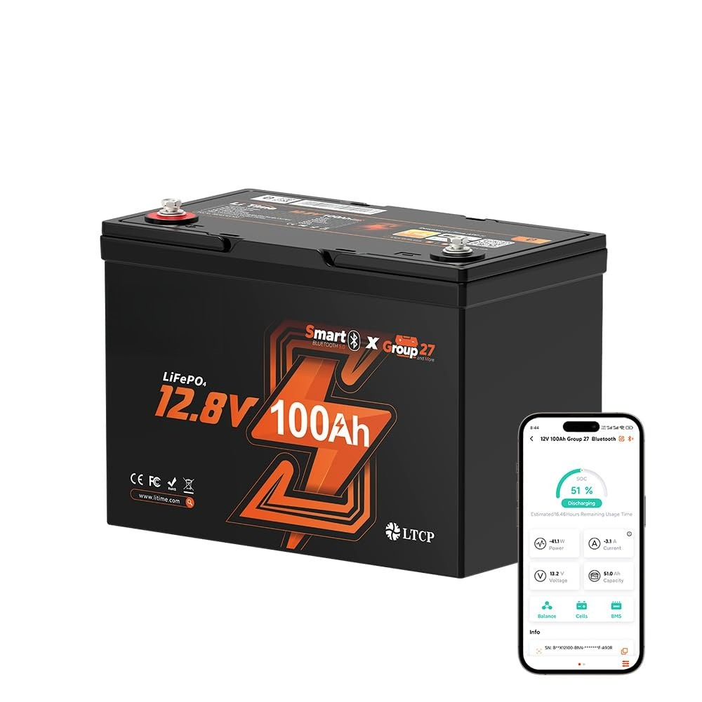 Batteria LiFePO4 12V 100Ah, Ba - Lifepo4 12V 100Ah Bms Bluetooth recensione e prezzo